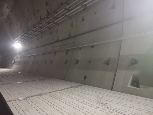 保定鐵銳新型建材制造 引領(lǐng)綠色建筑未來(lái)的創(chuàng)新力量